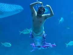 -烟台海昌鲸鲨海洋公园