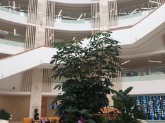 -厦门市图书馆(集美新城馆区)