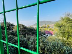 -树山生态村