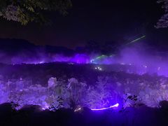 -鹅湖玫瑰文化园