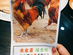 -锅来乐地锅鸡(安亭店)