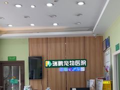 -瑞鹏宠物医院·夜间急症·心超·猫科(祖庙分店)