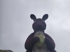 -野三坡百草畔景区