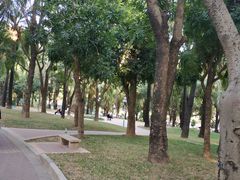 -深圳龙潭公园