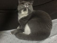 -胡桃里音乐酒馆(曲江店)