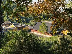 -树山生态村