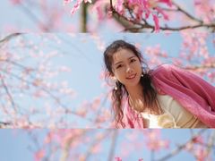 -风云岭森林公园