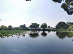 -无锡蠡湖国家湿地公园-蠡园