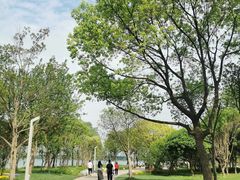 -渤公岛生态公园