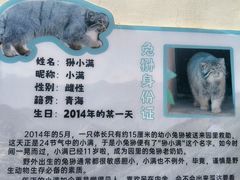 -青藏高原野生动物园