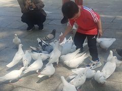 -世纪广场