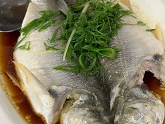 -长平肥姐白粥·海鲜打冷