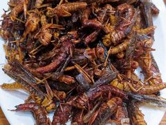 -伊通龙凤烧鸽子(二店)