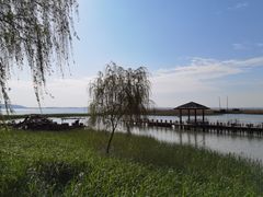 -太湖湖滨国家湿地公园-停车场