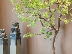 -江南足纪·影院足道·轻奢SPA(京基水贝店)
