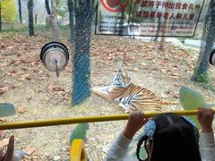 -栾川竹海野生动物园