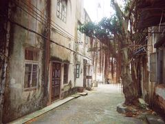 -柯达真美(老重庆中路店)