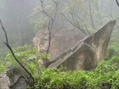 -王顺山国家森林公园