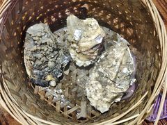 -蚝堡海鲜·威海菜·海肠捞饭·烧烤·亚洲吃蚝公司(幸福门店)