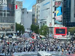 -涩谷全向十字路口