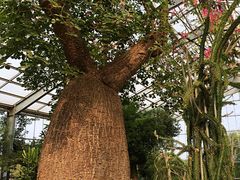 -南通洲际绿博园