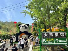 -栾川竹海野生动物园