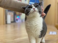 -猫和宫(六道口店)
