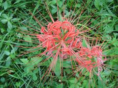 -贵阳市花溪国家城市湿地公园