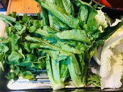 -金鼎雪山牦牛杂火锅(理县总店)