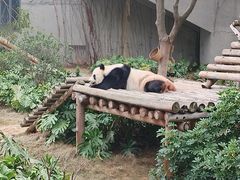 -柳州市动物园