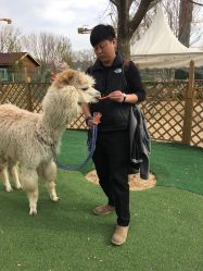 -萌宠亲子动物乐园(槐房万达店)