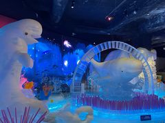 -海合安成都极地海洋公园