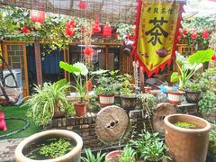 -茯茶镇