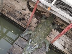 -洞里萨湖