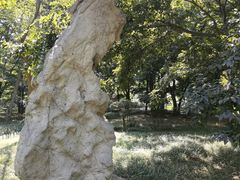 -青岛中山公园-索道售票处