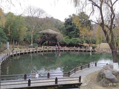 -白马涧龙池景区