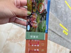 -西双版纳原始森林公园