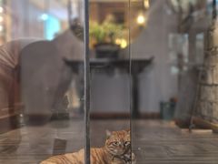-黎阳老街