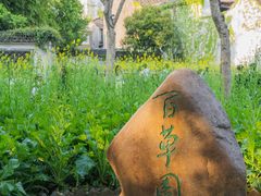 -绍兴鲁迅故里·沈园景区