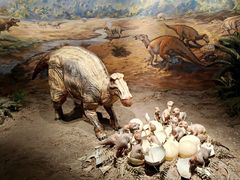 -自贡恐龙博物馆