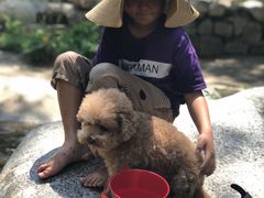 -碓臼峪自然风景区