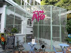 -有猫主题·治愈系猫咖(曾厝垵店)