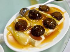 玉樹麒麟豆腐-新陶陶酒家