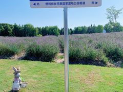-同里国家湿地公园