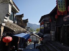 -后柳水乡