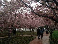 -石家庄市植物园