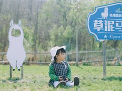 -大连铭湖国际观光牧场