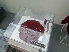 -ROSEONLY诺誓(广州K11店)