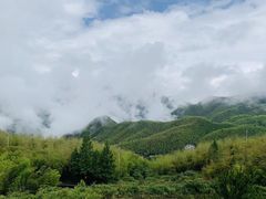 -江南天池