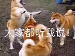 -普洱茶府(博乐广场店)